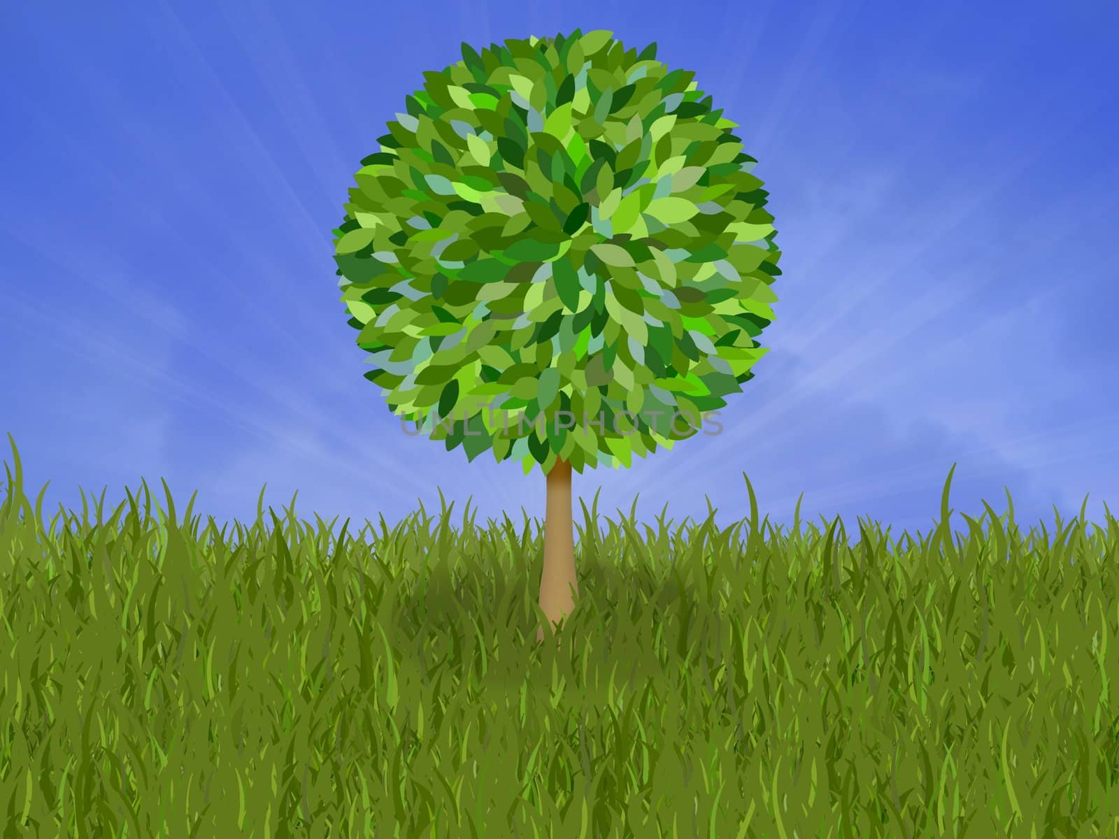 Illustration of an isolated tree in grass
