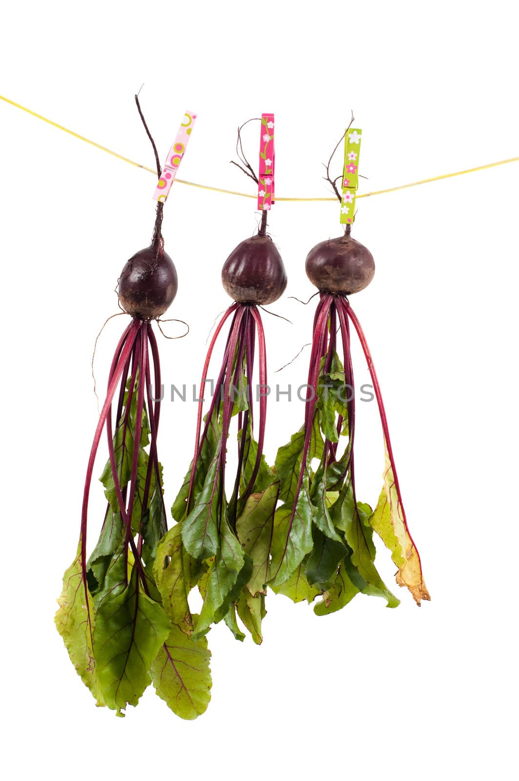 Shot of hanging beet isolated on white