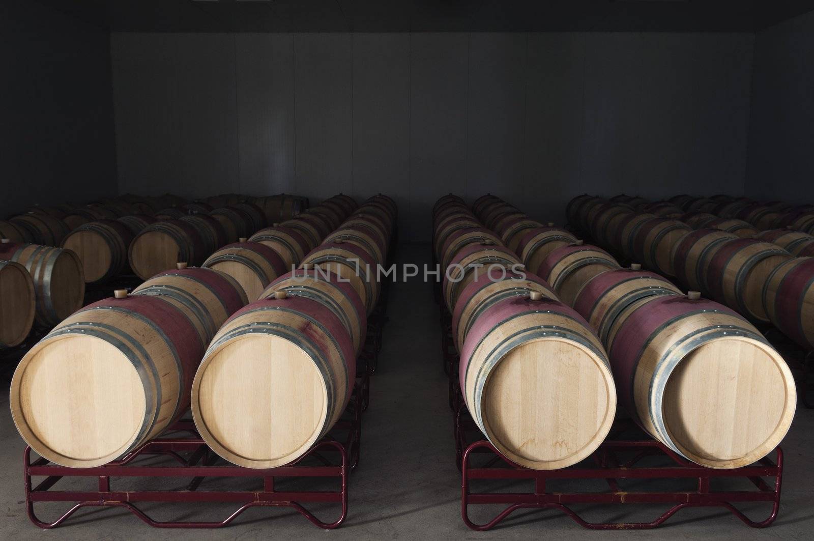 Oak wine barrels in a modern winery, Alentejo, Portugal