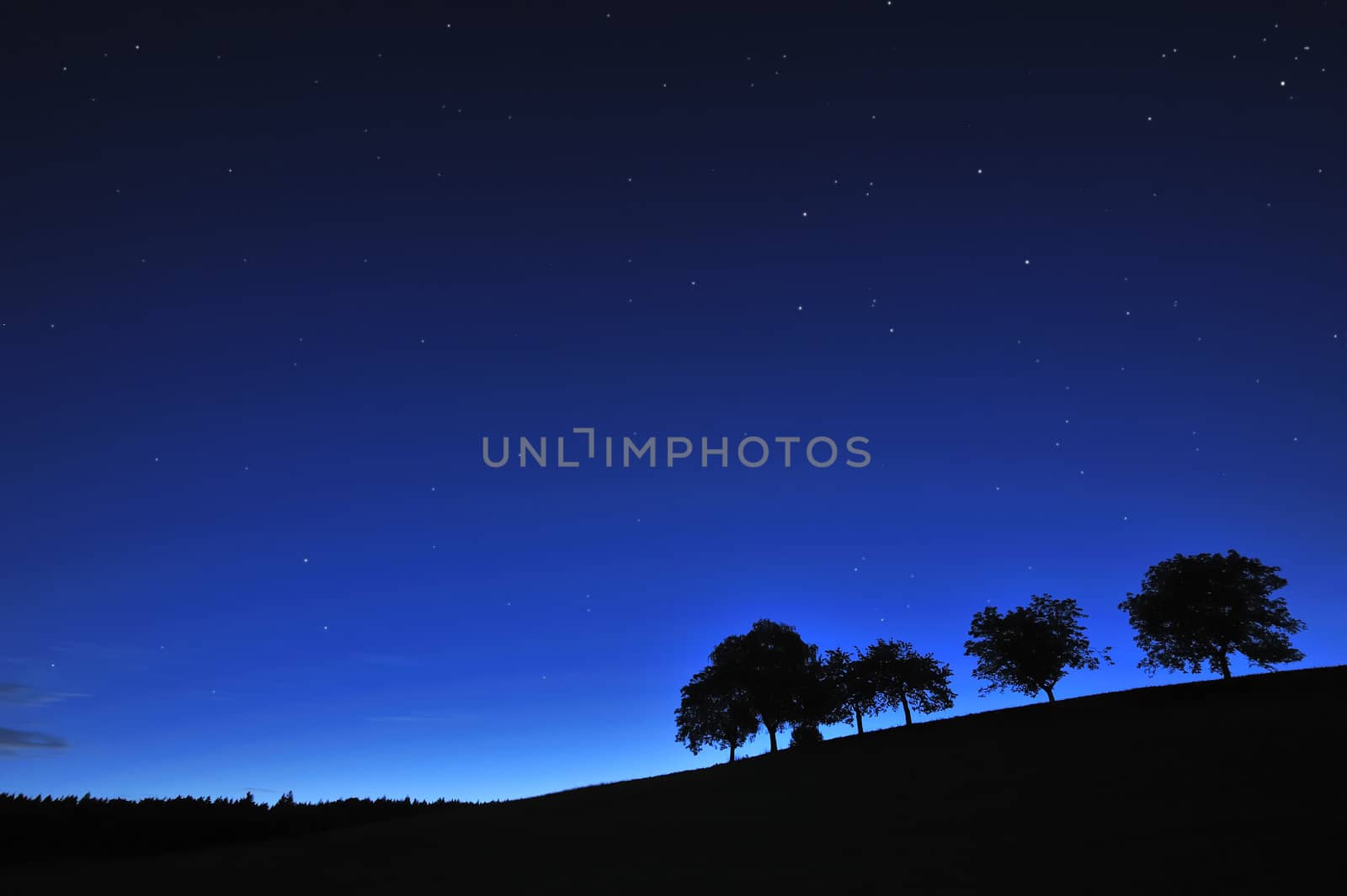 A hillside at dawn, with a line of silhouetted trees under a deep blue, clear starry sky.