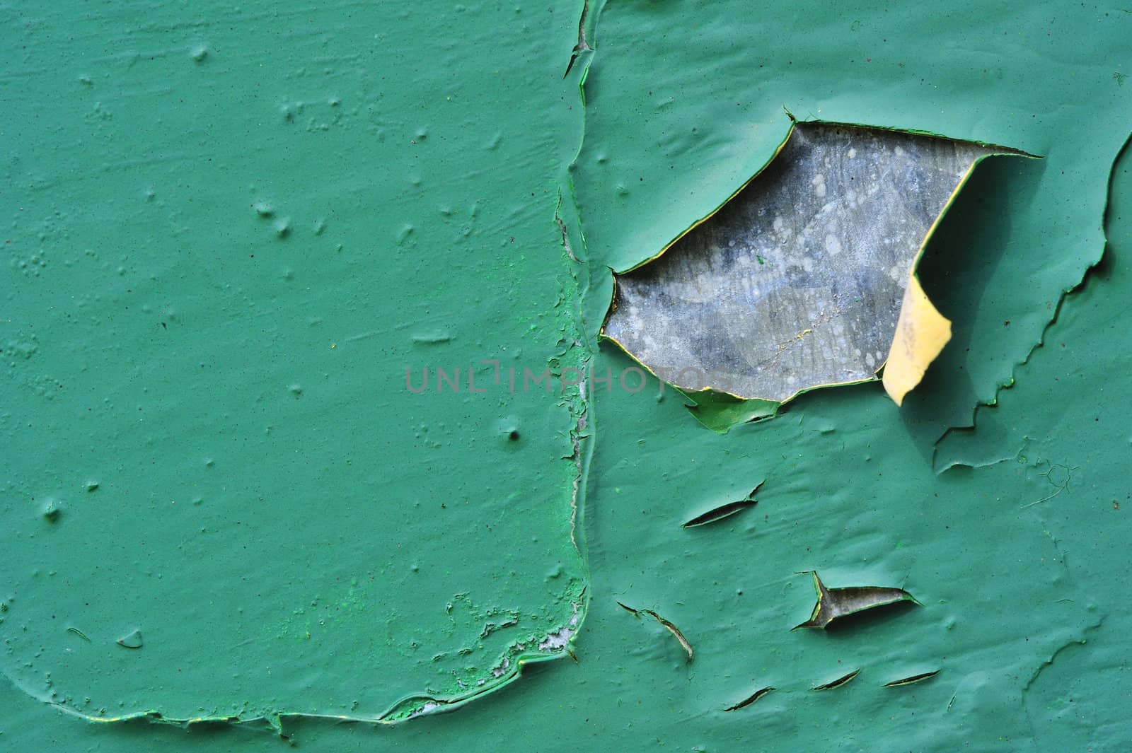 Macro image of peeling paint on an old galvanised iron door. Suitable as background with space for text.