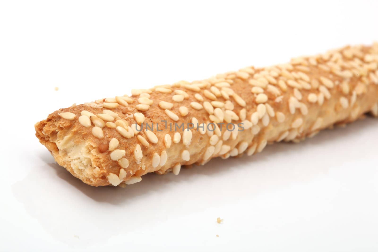 one sesame bagel closeup  isolated with copyspace food concepts