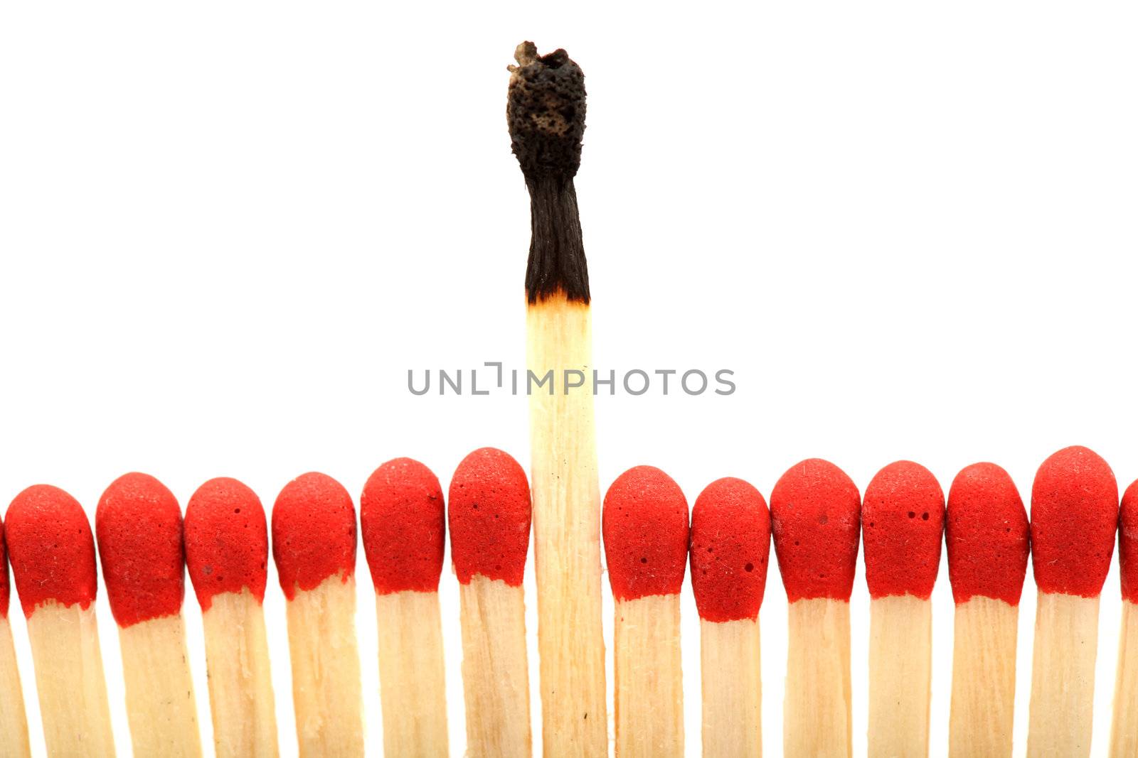 burned stick difference wooden matchsticks with copyspace isolated