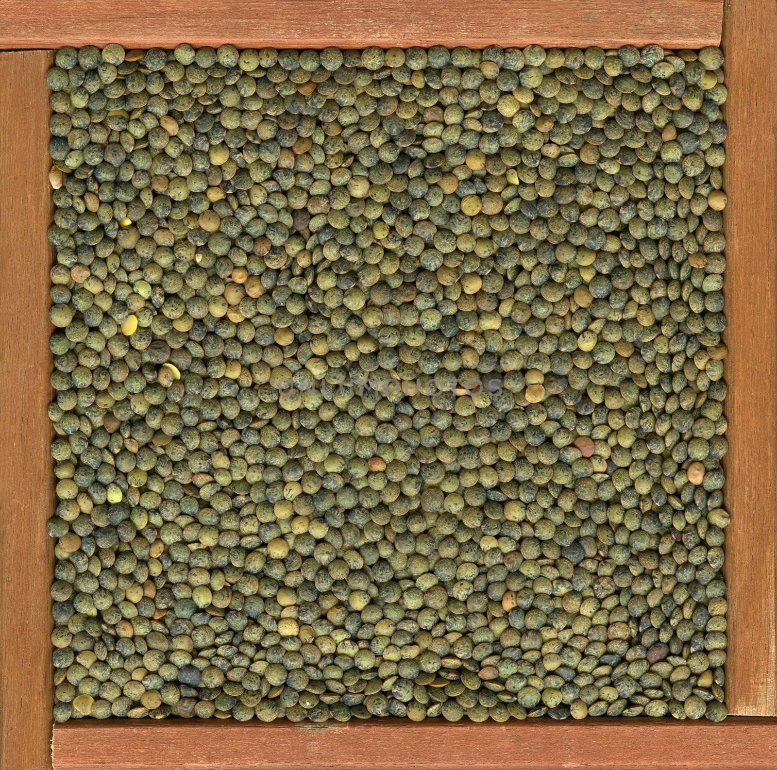 French green lentils background in a primitive, wooden frame or box