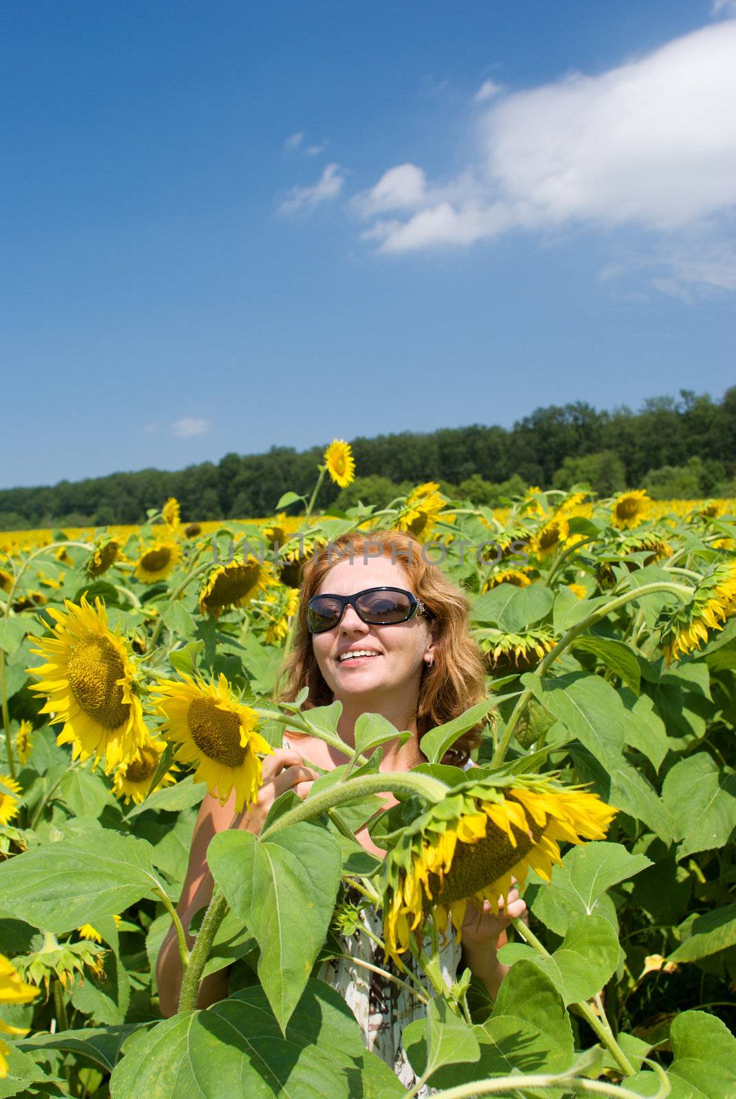 The beautiful woman in the field of sunflowers by BIG_TAU