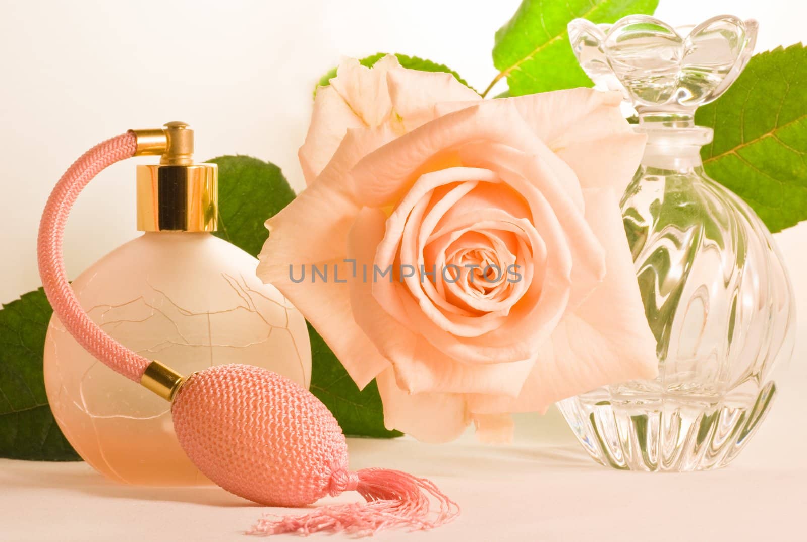 Soft pink rose with green leaves and two small bottles