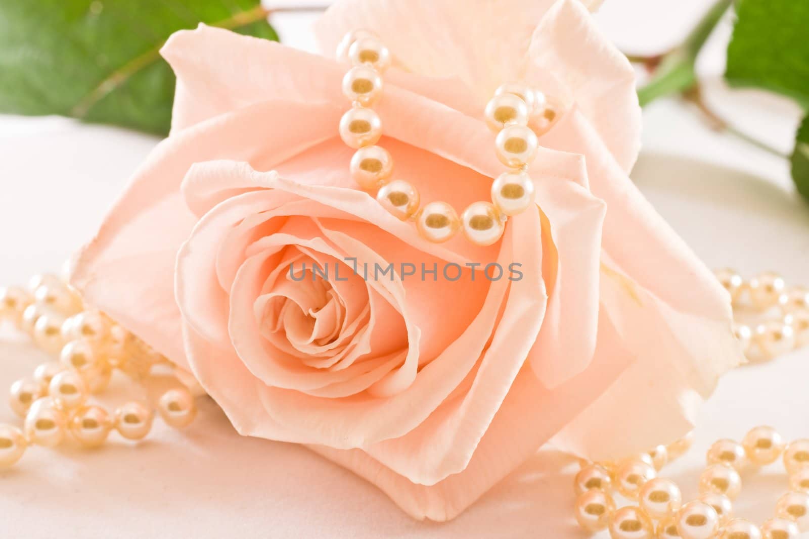 Soft pink rose and pearls by Colette