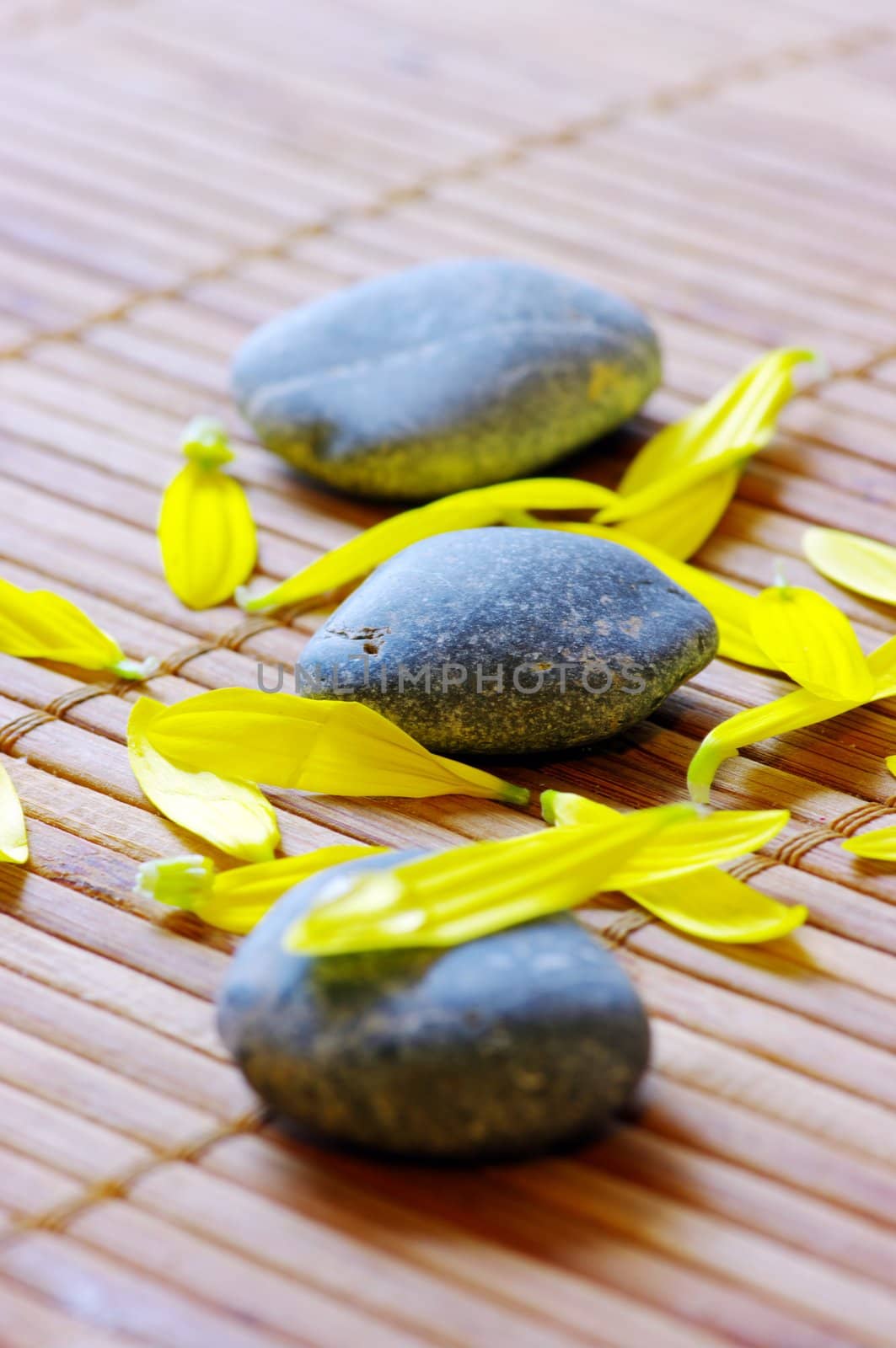 spa stones with flower petals