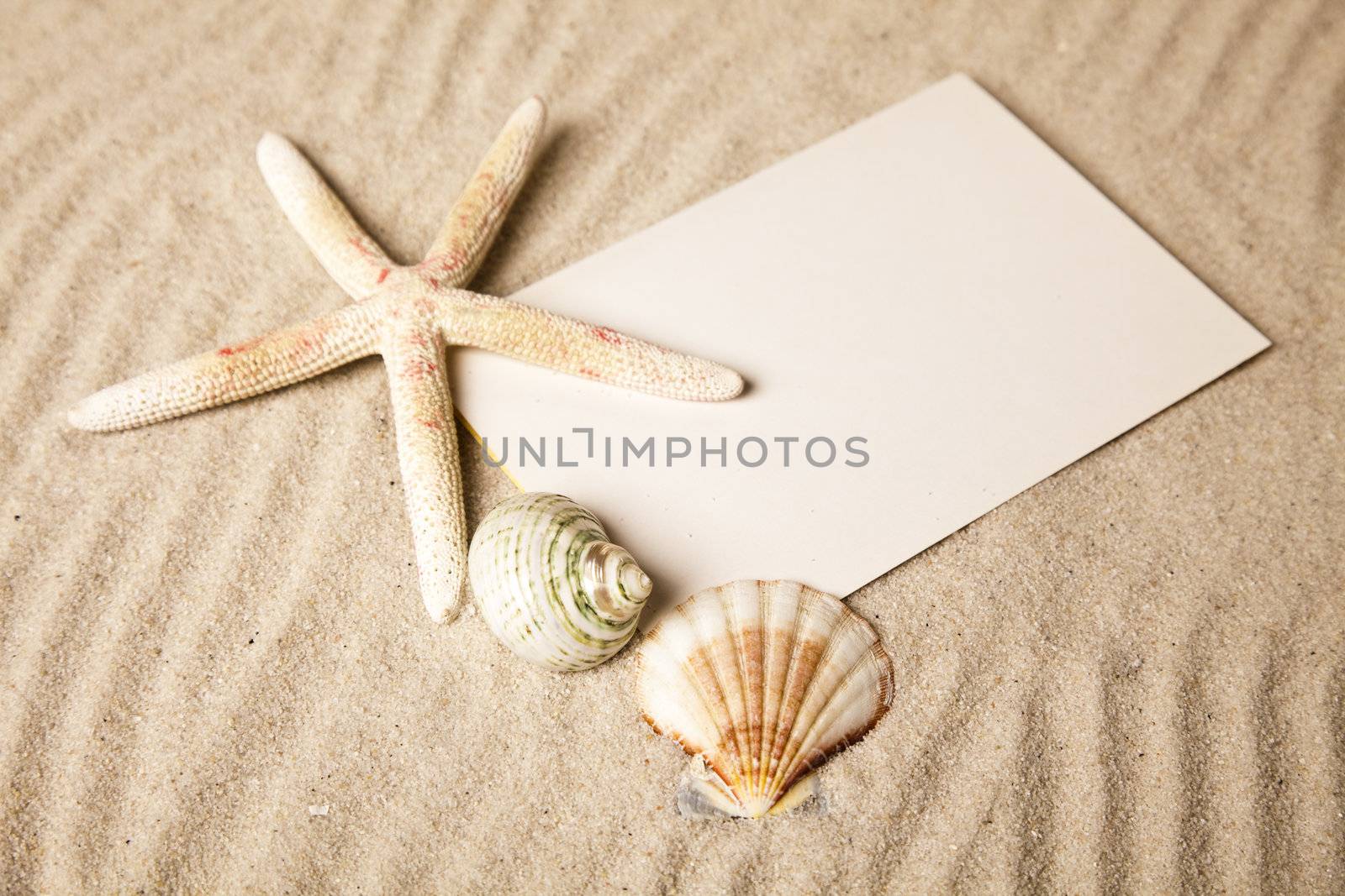 Holiday beach concept
