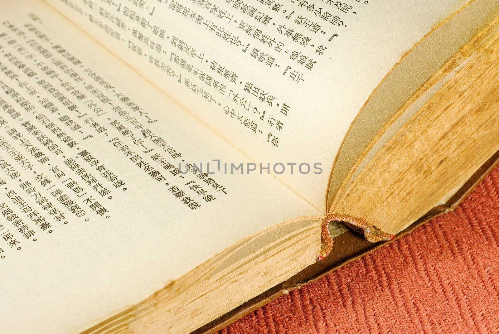 It is a Chinese book opened. You can look at that words so clear.
