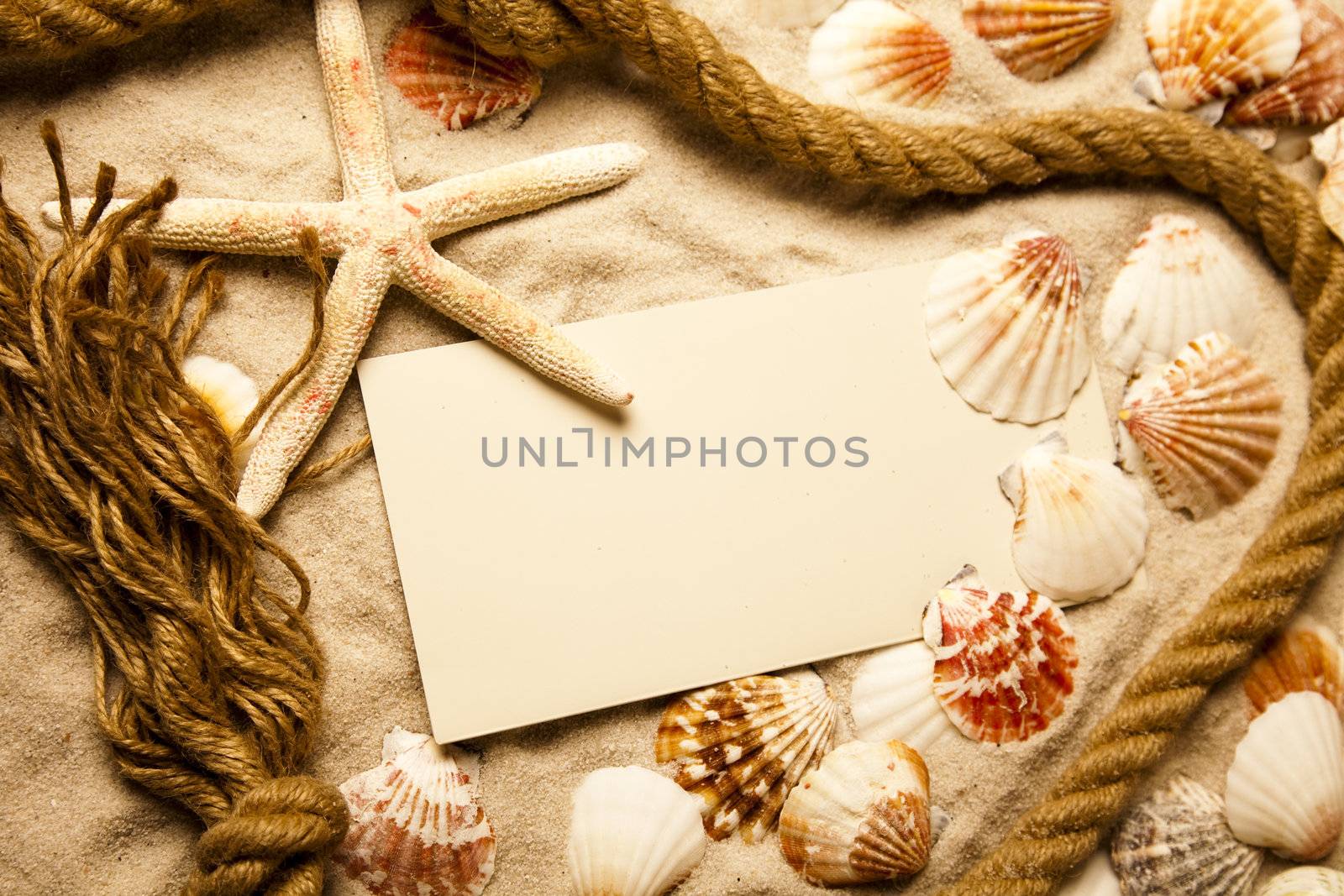 Holiday beach concept