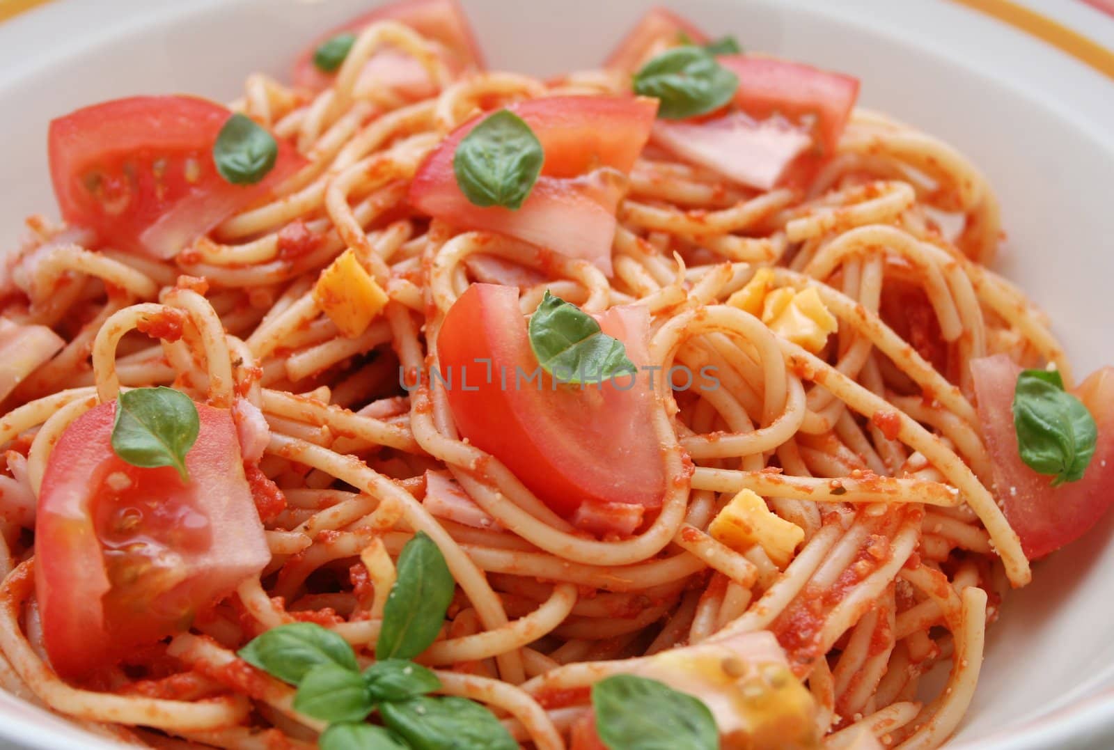 fresh pasta