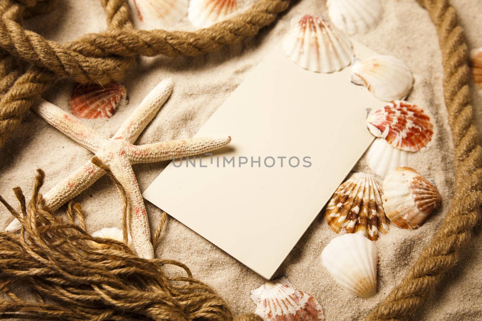 Holiday beach concept