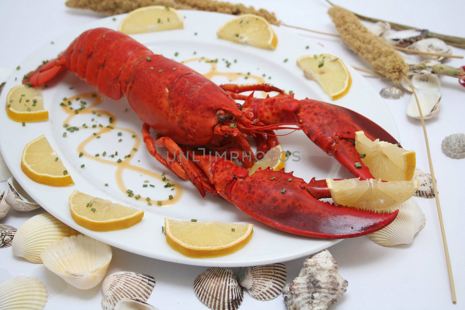 a meal of a lobster