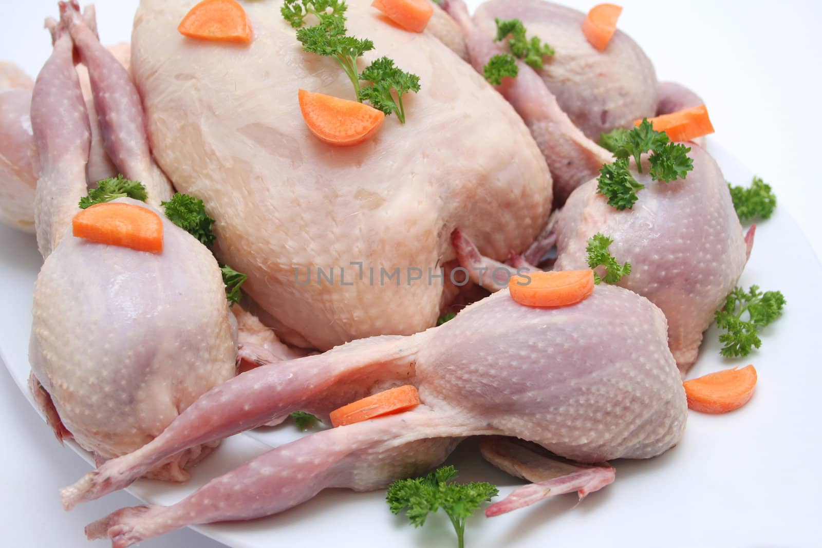 chicken and quails
