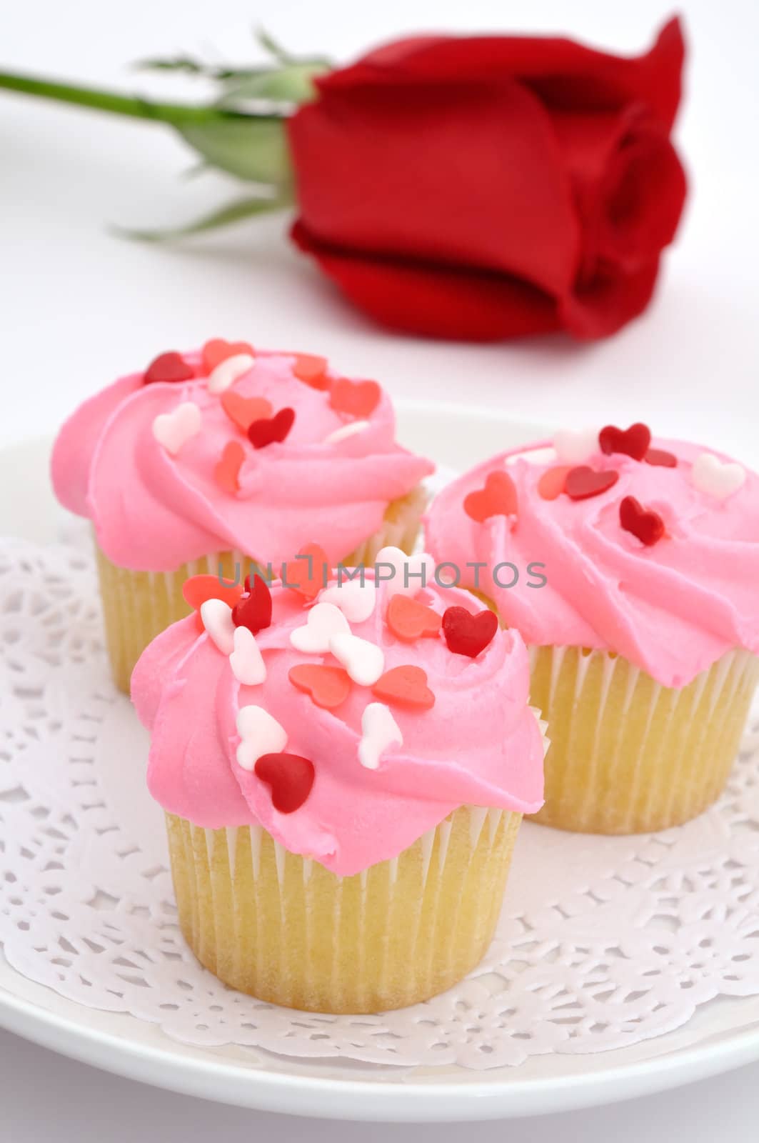 Small pink cupcakes decorated with heart candies with a rose to celebrate Valentine day