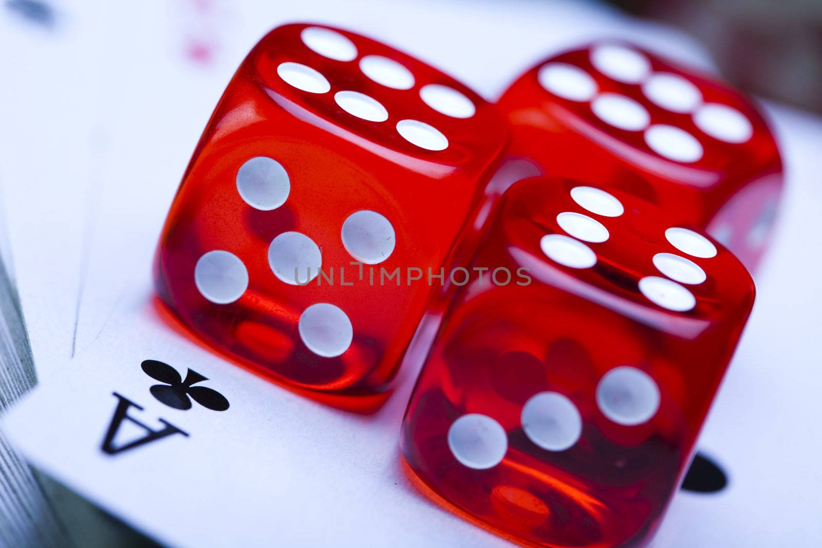 Casino - a place where you can win or lose money
