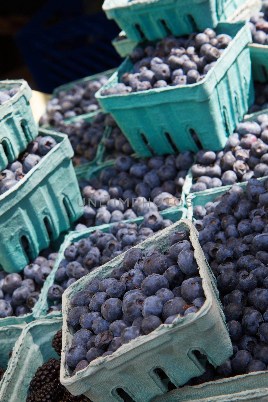 Blueberry cartons by bobkeenan