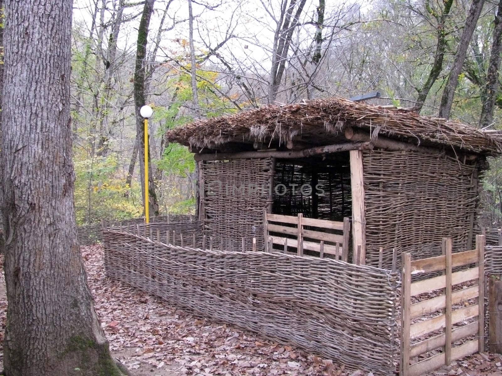 Shelter for cattle; a wattled fence