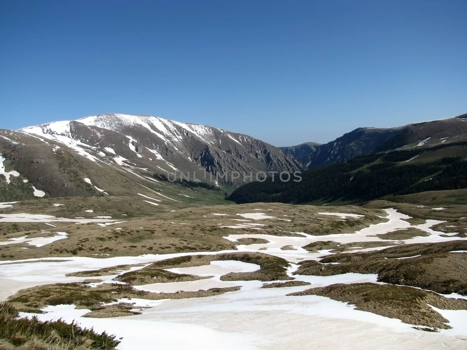 Grass; greens; a relief; a landscape