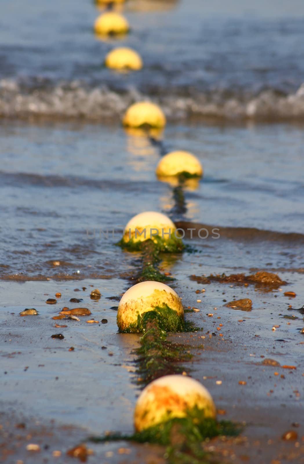 A string of yellow plastic beach markers set in the sand on the shore line, receeding into the distance.