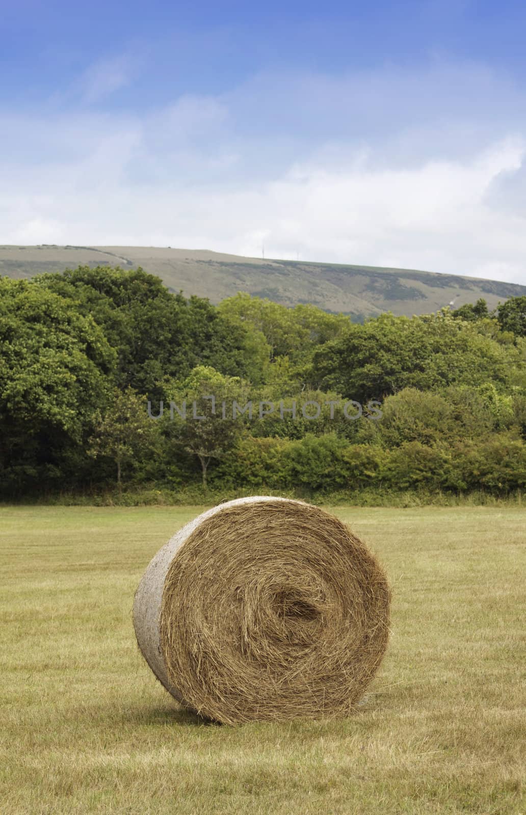 A round bail of hay in a green field. The Pembroke hills are visible to the background. Location near Swanage in Dorset, England, the gateway to the jurassic coast.