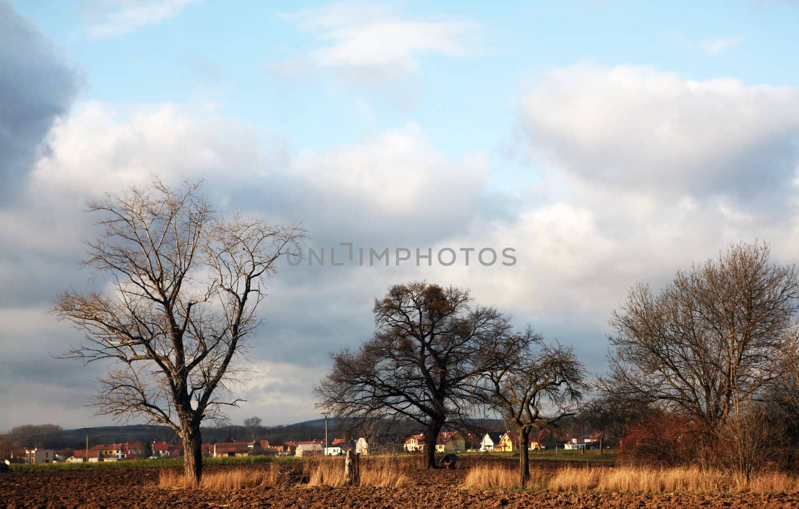 Rural autumn landscape with trees and village in background