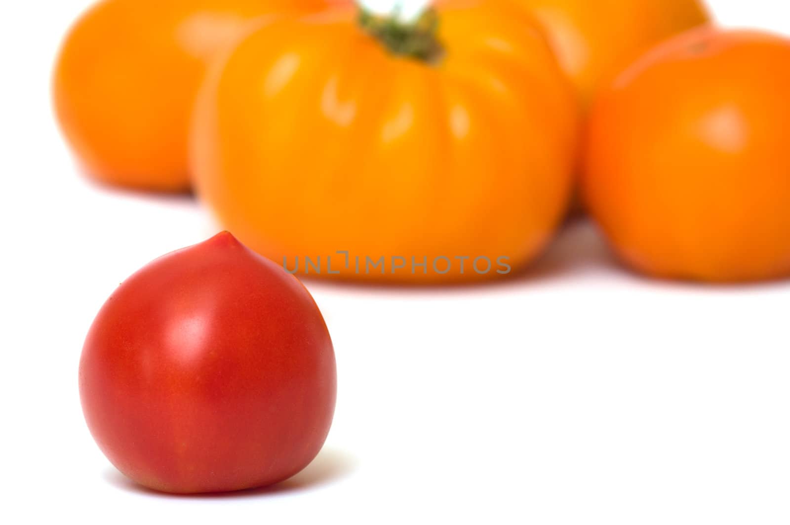 Red and yellow tomatoes on a white background.