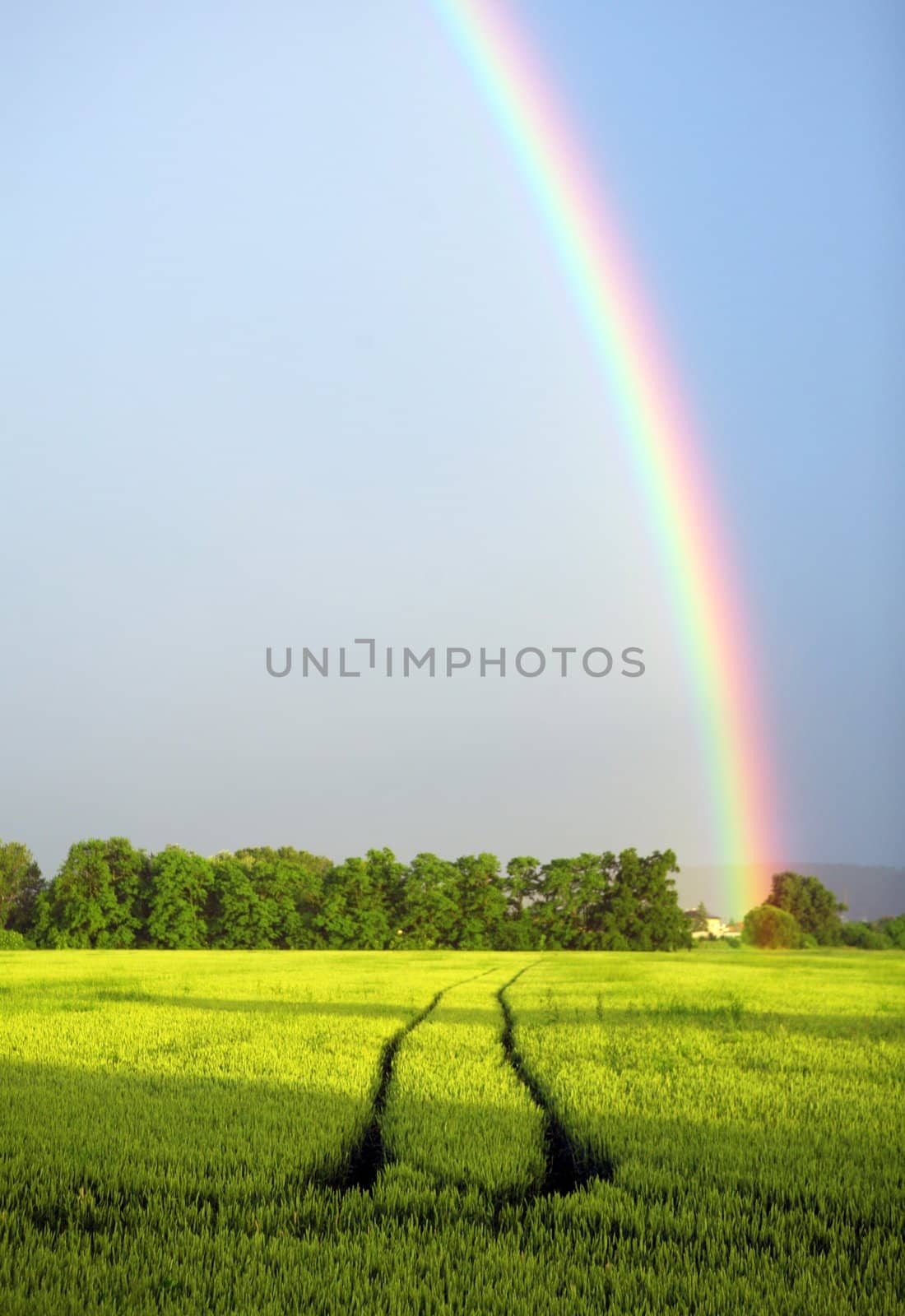 Rainbow on  blue sky over the rural landscape