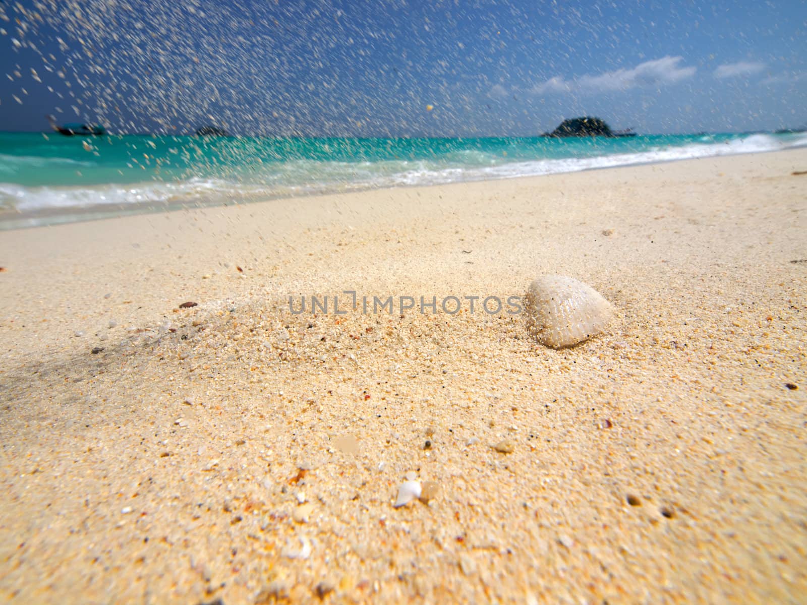 White sand falling down on a shell on sea beach. Wide angle shot