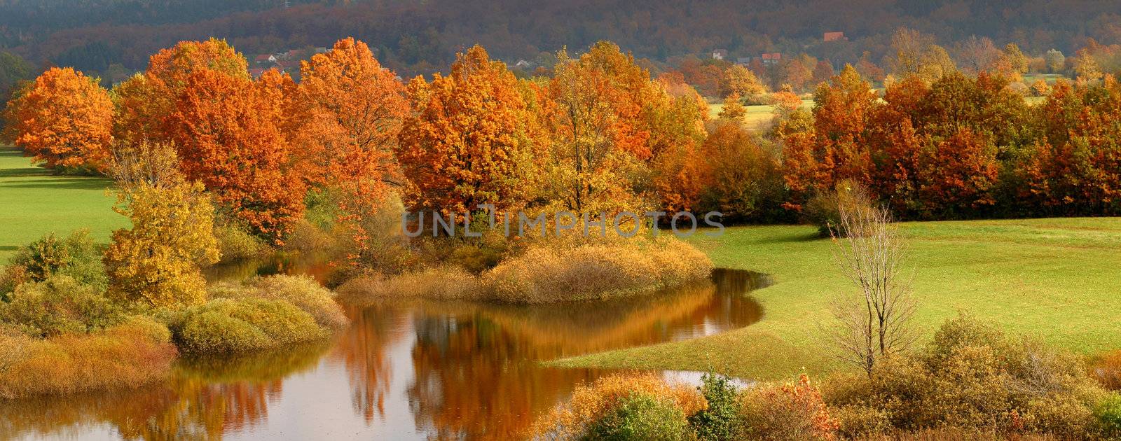 Autumn coloured trees with reflection in water