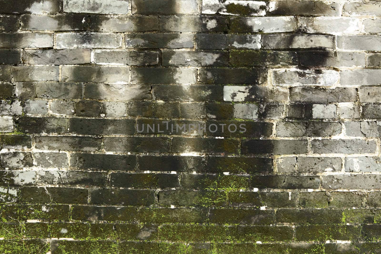 old chinese blue bricks wall
