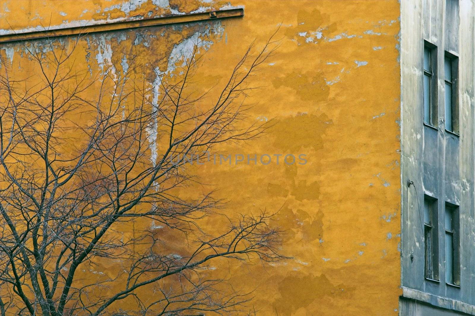 Corroded Wall by simfan