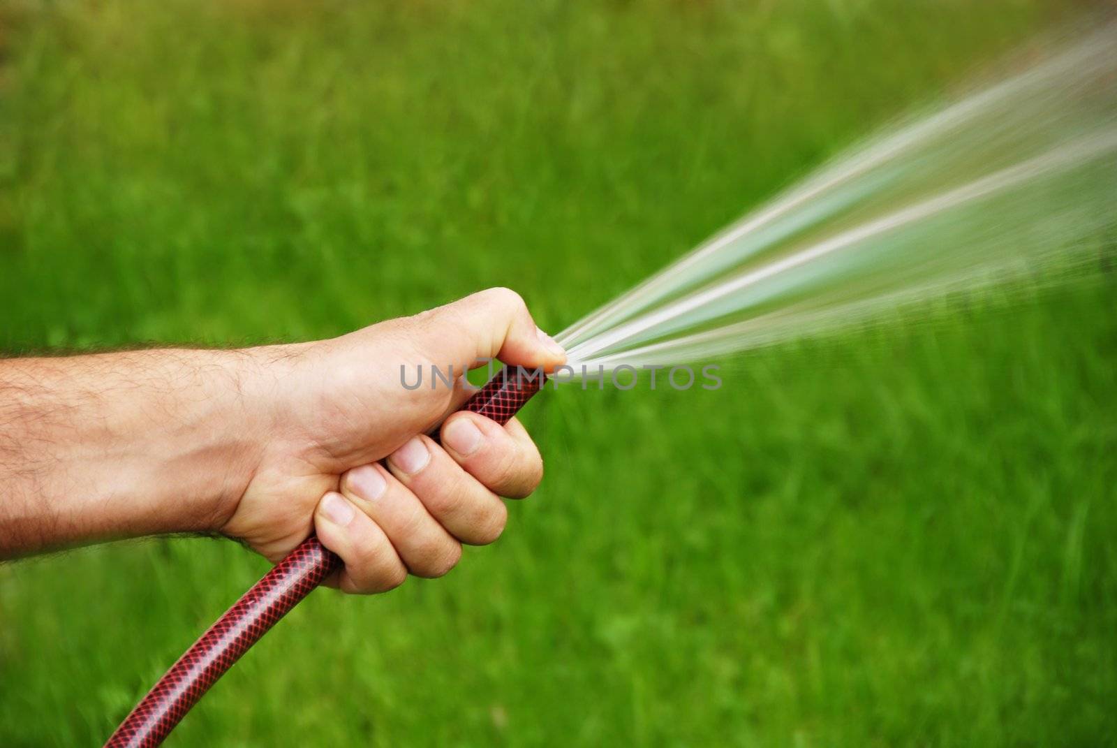 male hand with a hose watering grass