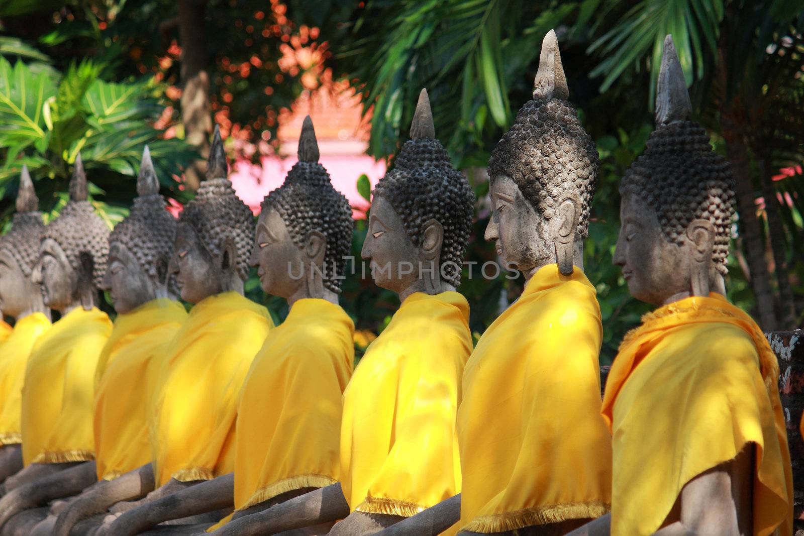 Buddha images in Ayutthaya Thailand