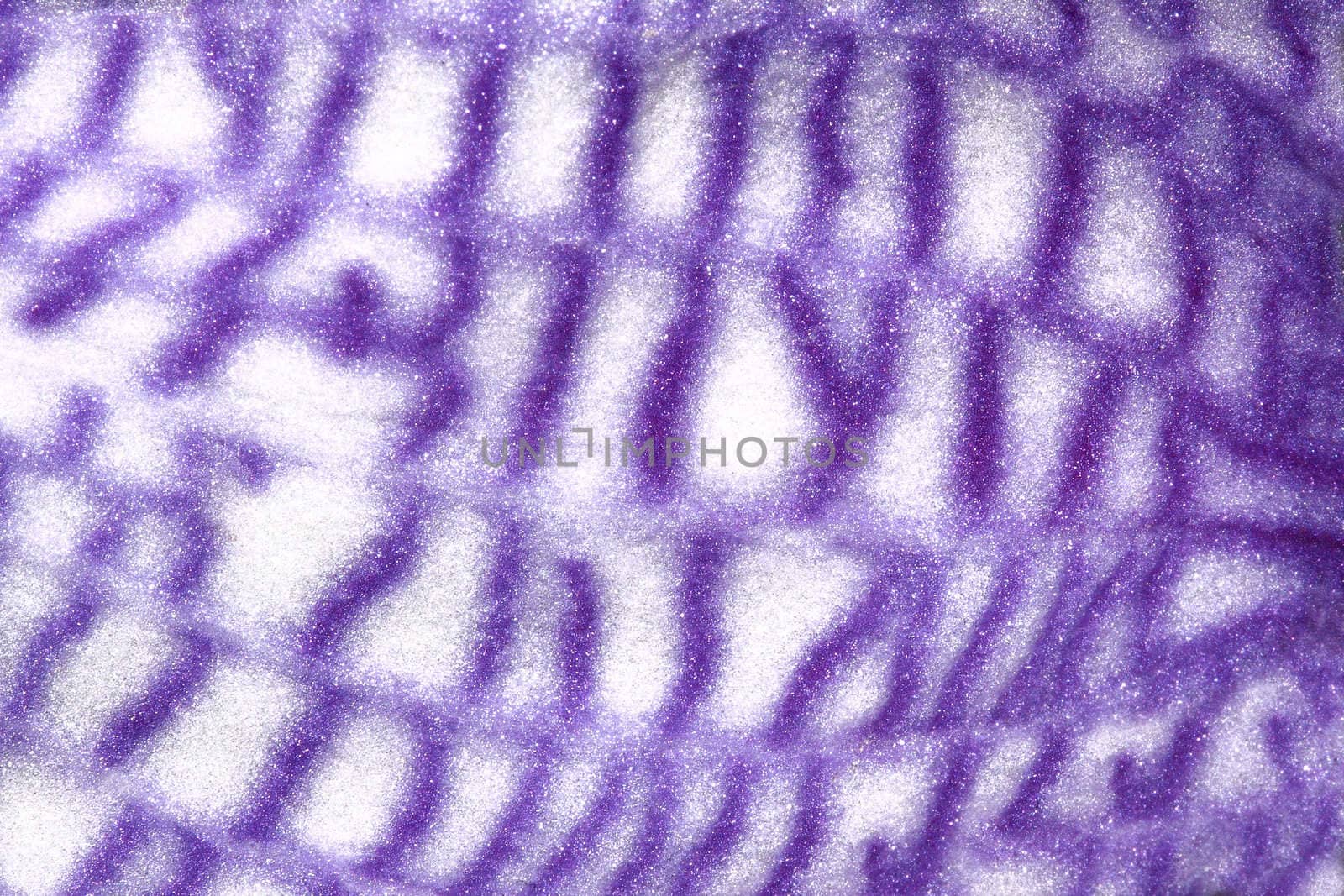 Texture of violet petal orchid