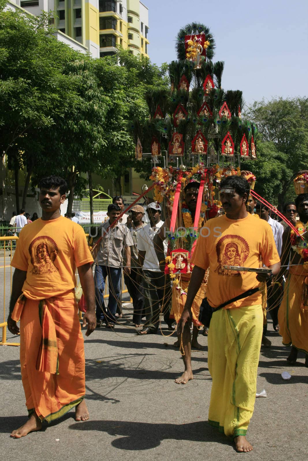 Thaipusam One of the annual attractive even in Singapore. Walking from one temple ton another temple with Kavadi in Thaipusam 2009.