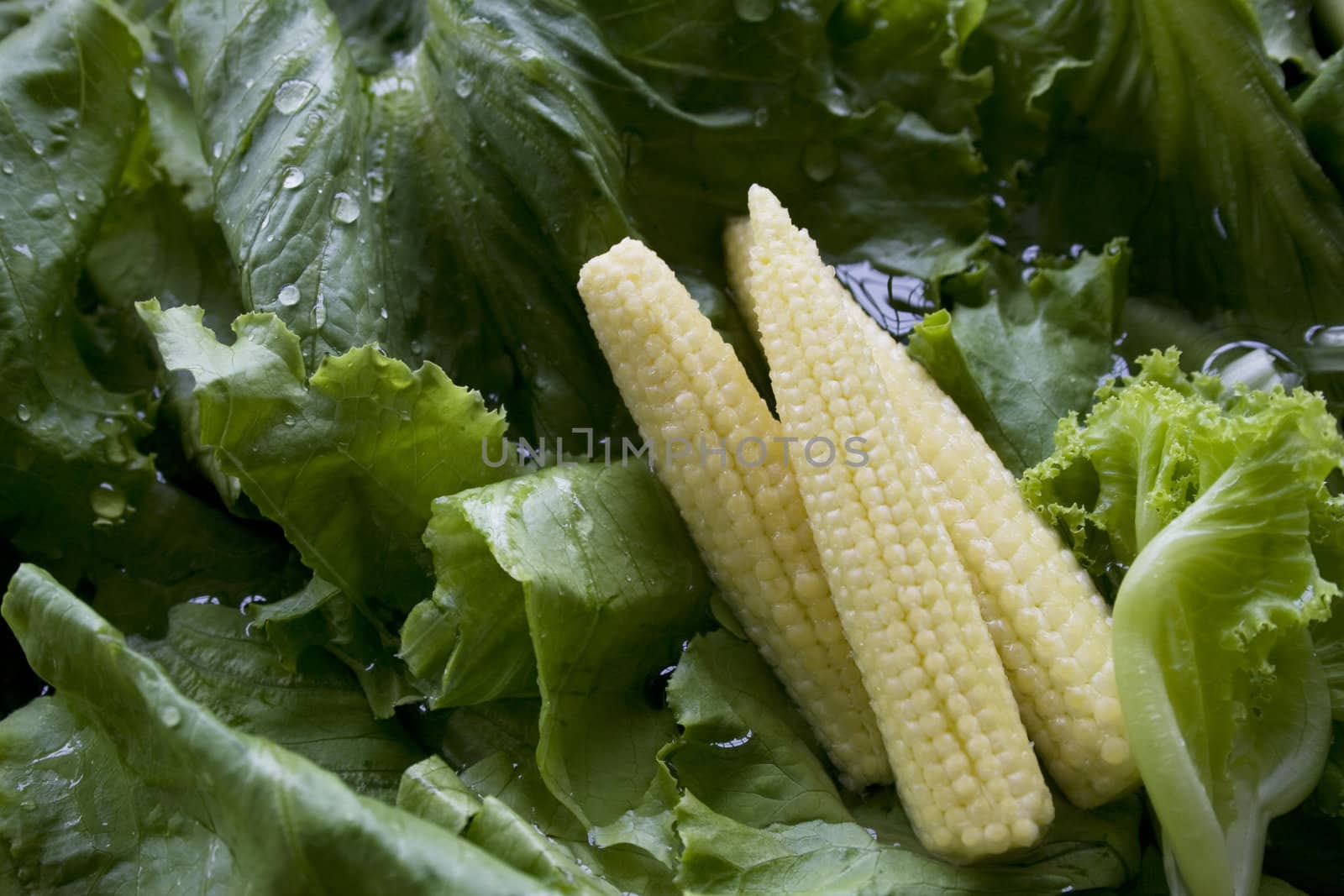 Baby Corn with green vegetable background.