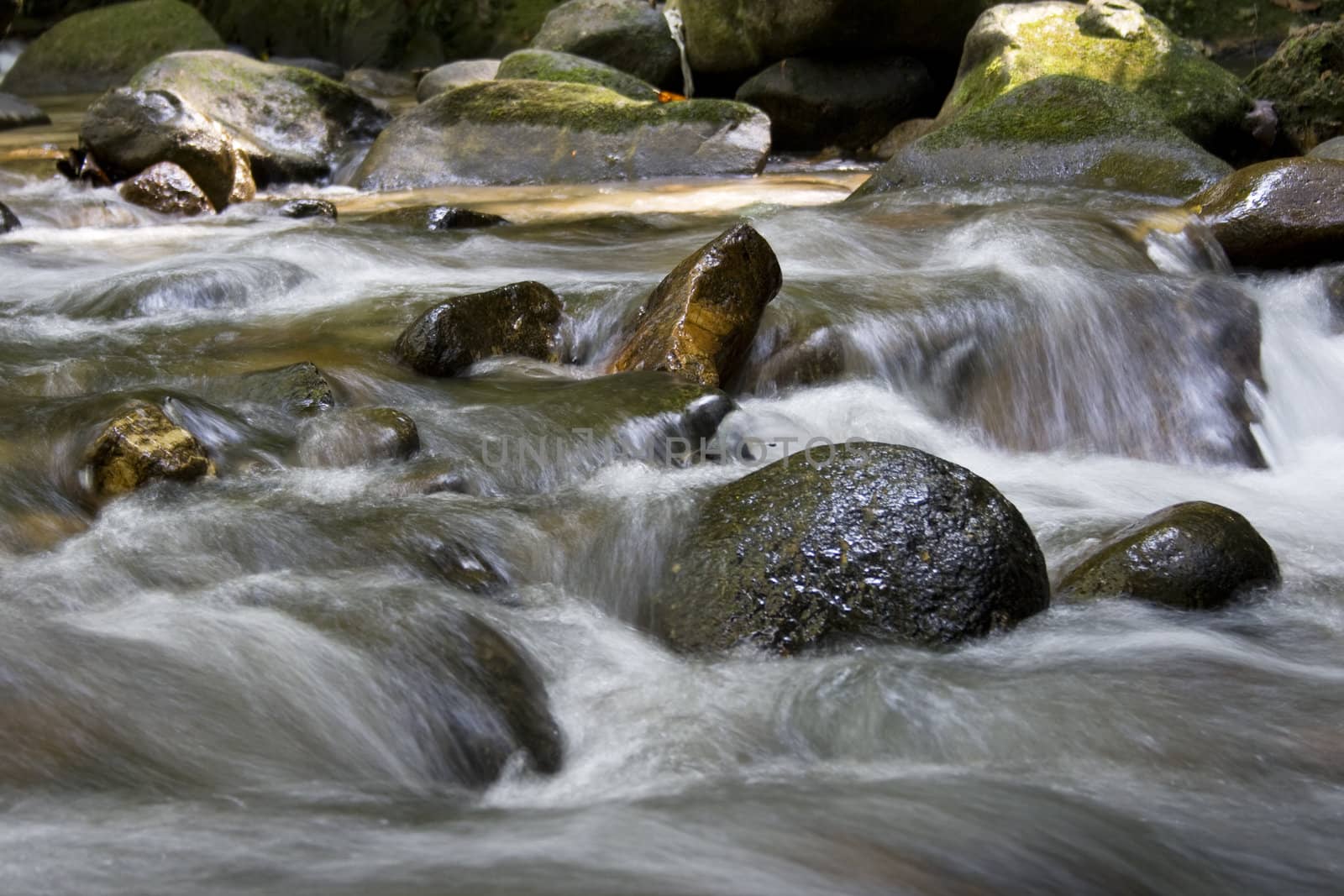 Rocky white water tropical river.