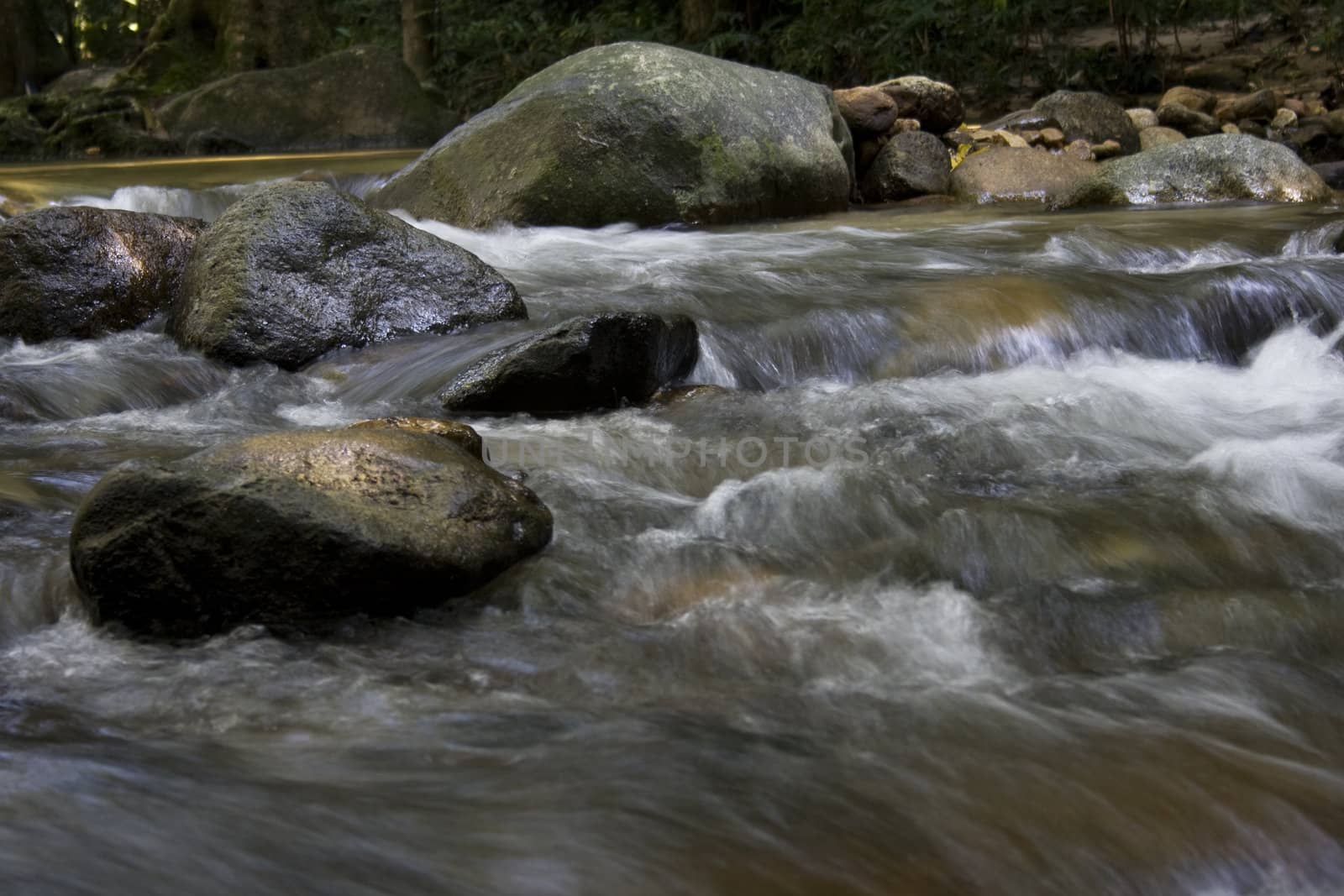 Rocky white water tropical river.