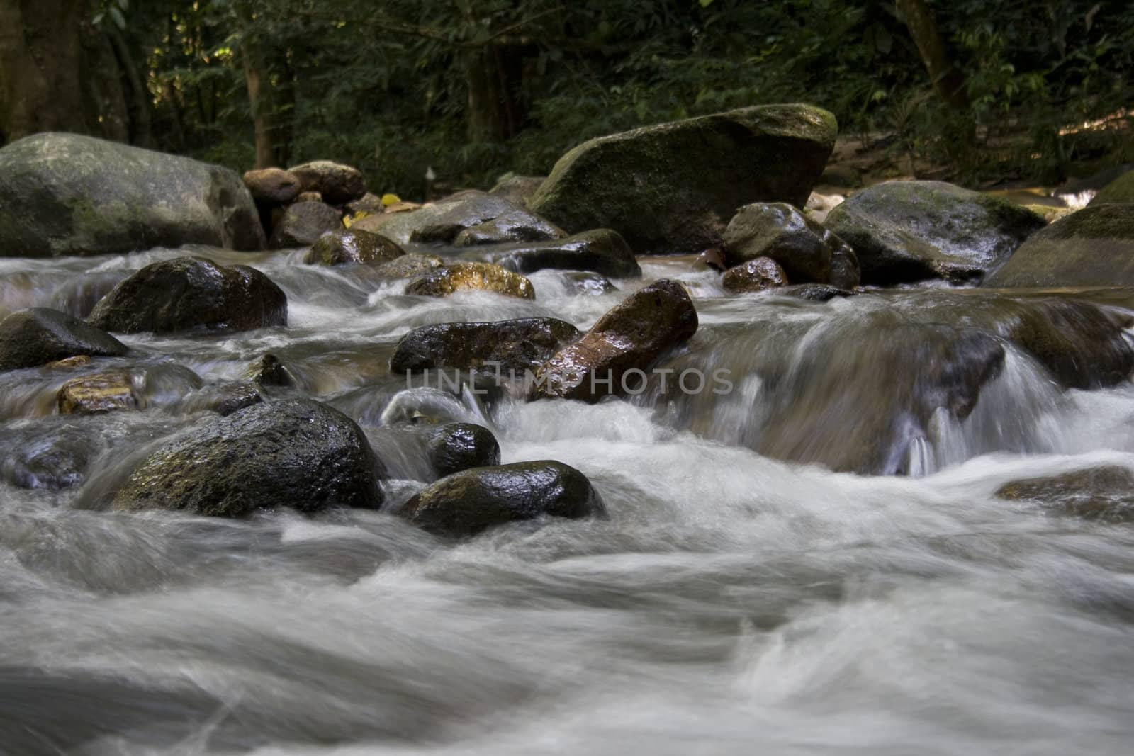 Rocky white water tropical river.