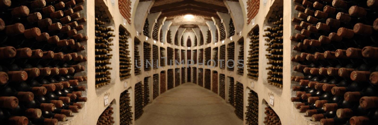 old wine bottles laying in racks in cellar