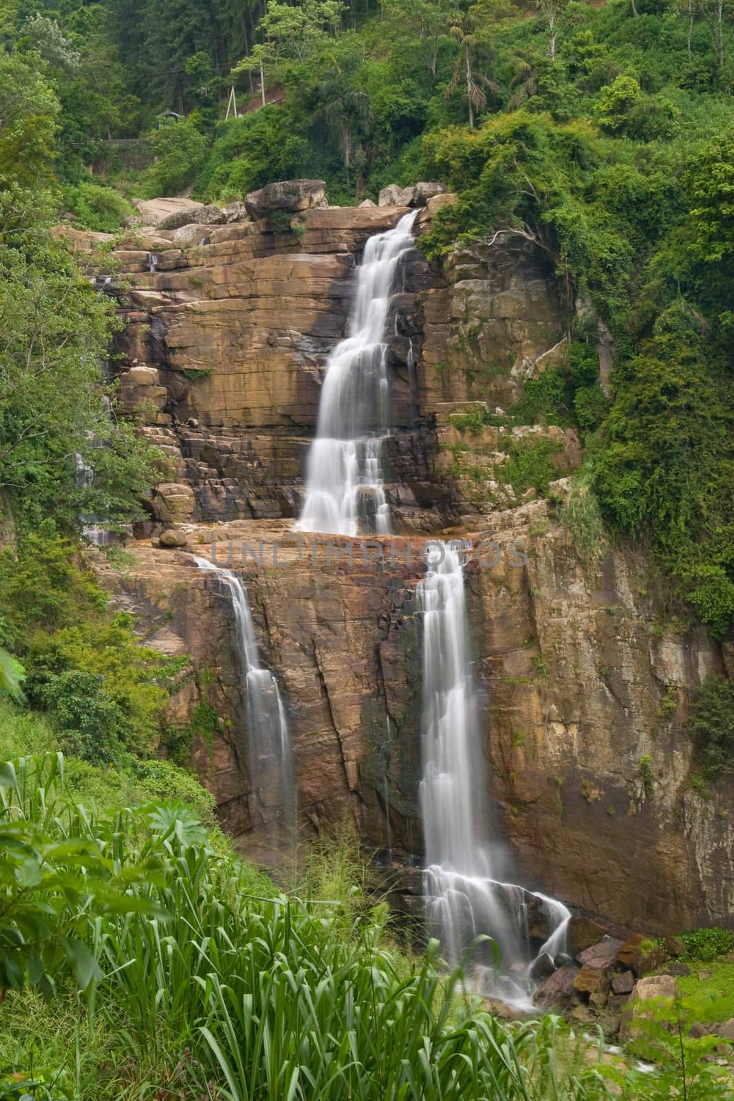 Waterfall in rainforest in Srilanka.