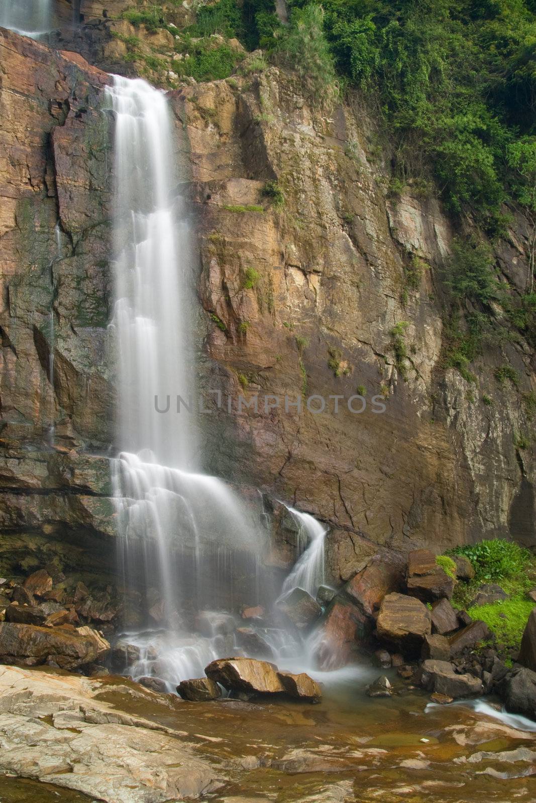 Waterfall in rainforest in Srilanka.