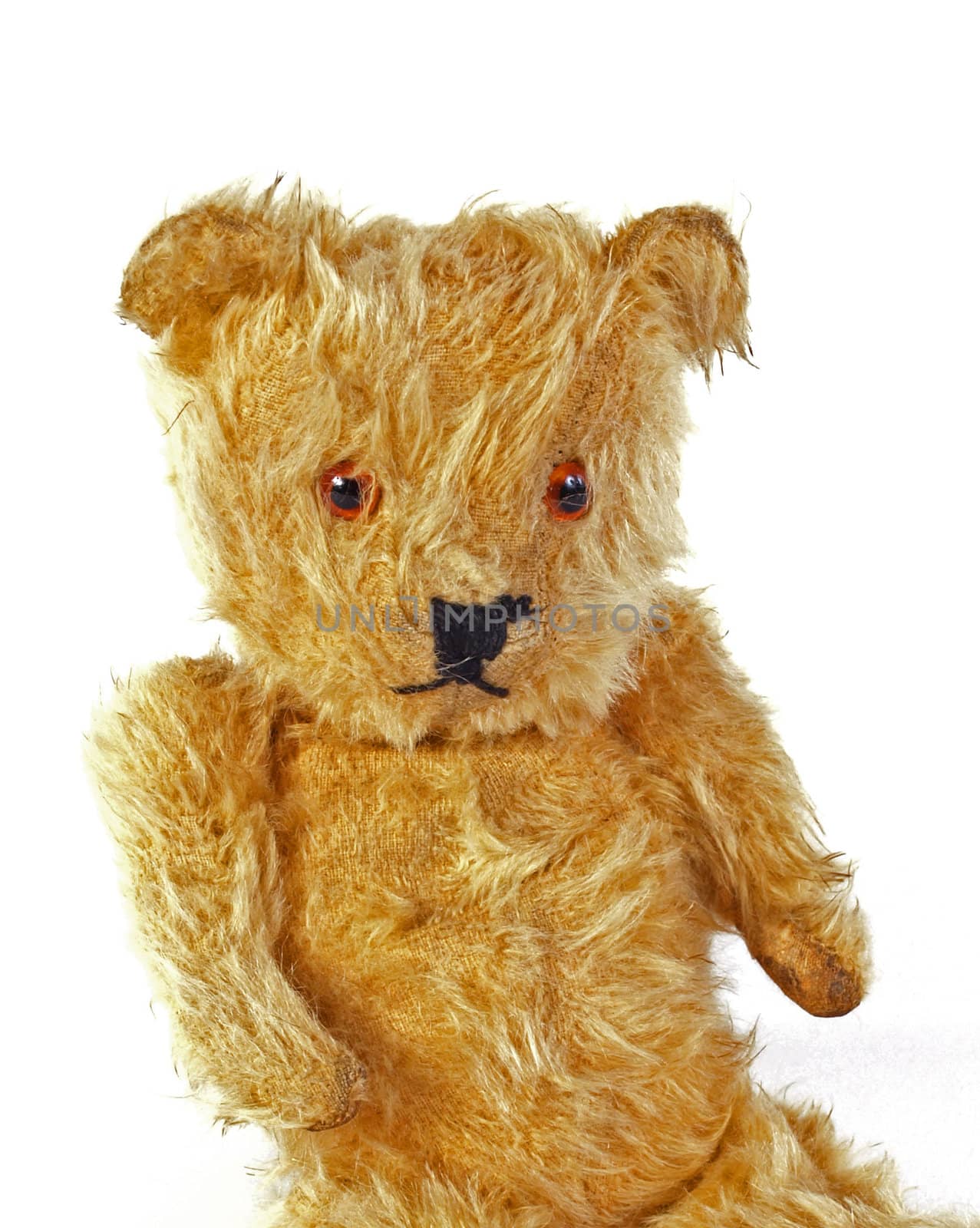 Close up of a Teddy Bear on a white background.