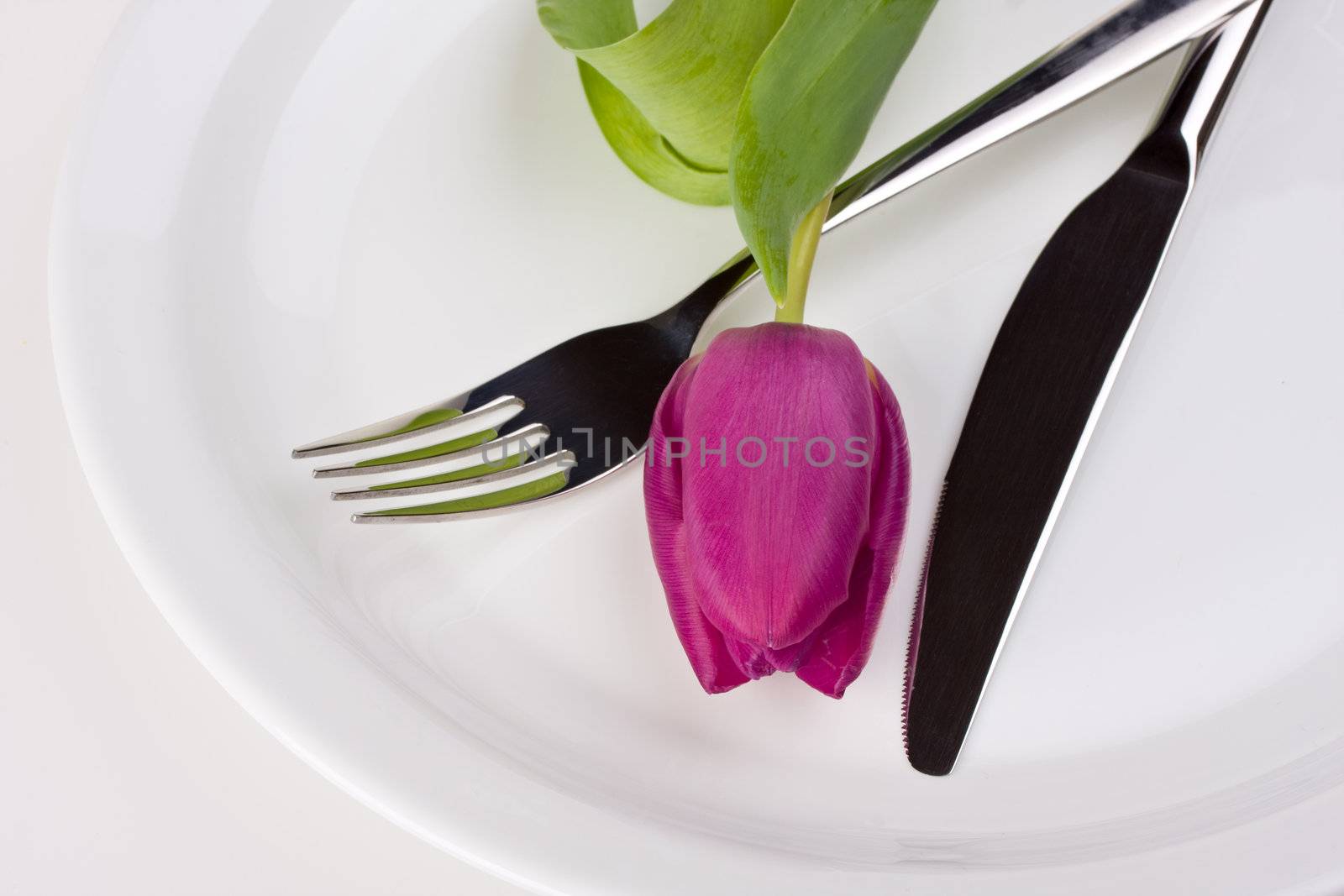 tulip,knife and fork on a white plate isolated by bernjuer