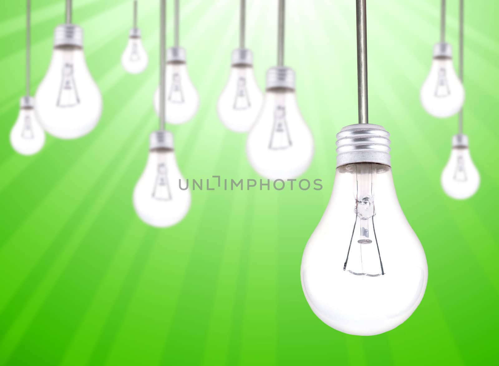 Many Lightbulbs Hanging  by tobkatrina