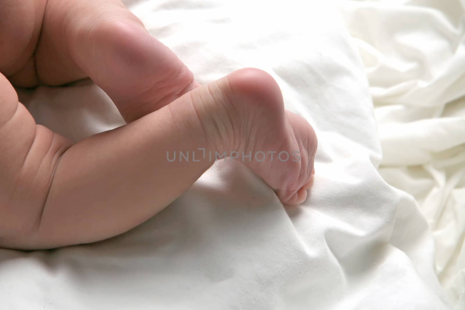 Cute Newborn Baby With Legs Lying Across White Blanket by tobkatrina