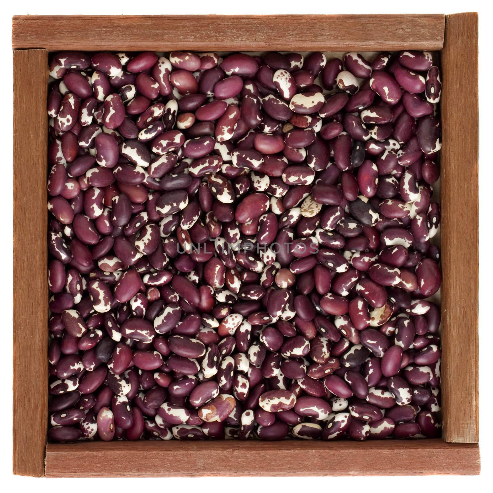 purple and white spotted Anasazi beans in a primitive square wooden box or frame, isolated