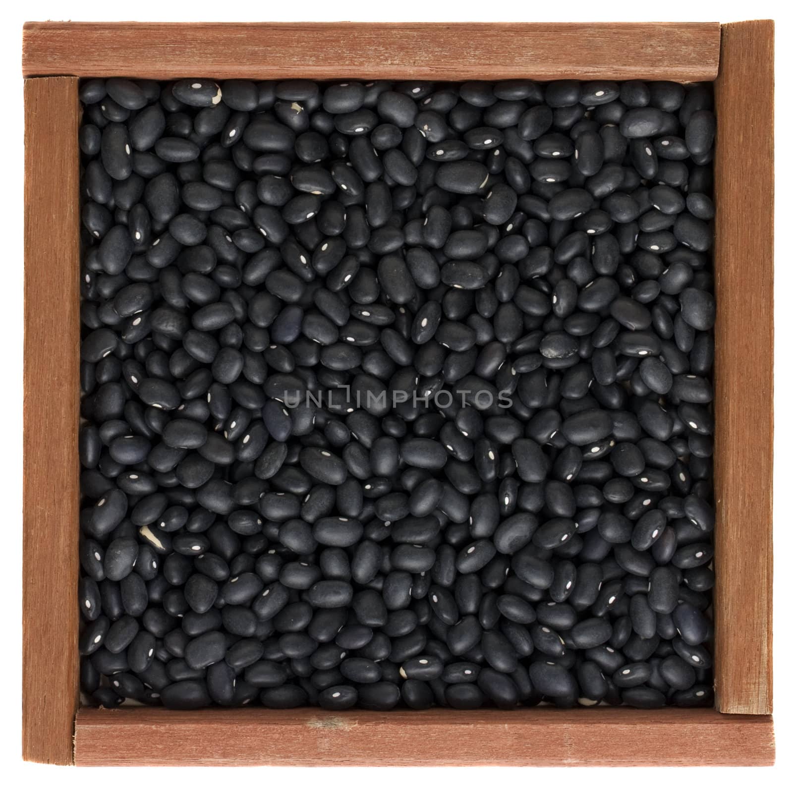black turtle beans in a wooden box by PixelsAway